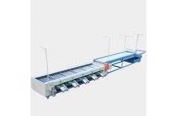 China Can 3 - 6 Grades 3.8kw Citrus Melon Fruit Grading Machine supplier
