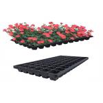 Germination Flower Farm Garden Seed Planter Tray 72 Cells for sale