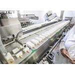 Vision Inspection Detection Quality Control Systems for Ice Cream Tray