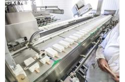 China Vision Inspection Detection Quality Control Systems for Ice Cream Tray supplier
