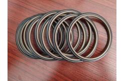 China PTFE NBR Hydraulic Rod Seal supplier