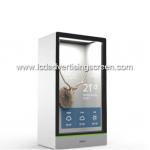 21.5 Inch Transparent LCD Display Box Full HD LCD Glass Box Refrigerator for sale