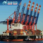 Global Shipping Sea Air Freight Forwarders From China Local LCL FCL DDP for sale