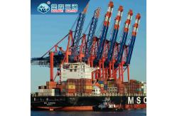 China From China To EU / UK / USA Sea Freight Forwarder Cargo Services supplier