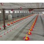 PLC Poultry Feeding Systems Automated Feeding System Of Broiler for sale
