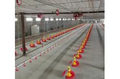 China PLC Poultry Feeding Systems Automated Feeding System Of Broiler supplier