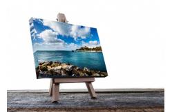 China 60 Inch Large Format Inkjet Cotton Canvas For Eco Solvent Ink supplier