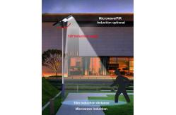 China 50w Human Body Sensing LED Solar Street Light With Die Casting Aluminum Housing supplier