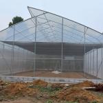 OEM Hydroponic Tunnel Plastic Greenhouse Galvanizing Steel Farm Supply Greenhouse for sale