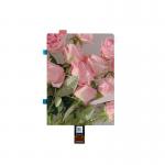 5.48 Inch Amoled Display module 1080×1920 dot Low Power with mipi interface for sale