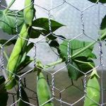 Factory supply 1 chicken hot dipped galvanised hexagonal wire mesh