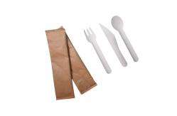 China Sustainable Biodegradable Plastic Cutlery supplier