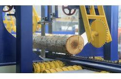China Automatic Woodworking Portable Big Logs Vertical Bandsaw Machine supplier