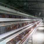 A Type Silver Color Galvanized Cages For Chicken three tiers for sale