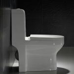 ADA One Piece Elongated Toilet Porcelain Water Closet White Europe Style Ceramic Corner for sale