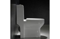 China Seamless Porcelain One Piece Elongated Water Closet With Easy To Clean supplier