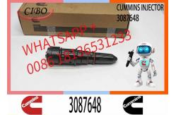 China Remanufactured High Quality Common Rail Diesel Fuel Injector 3087648 3406604 supplier