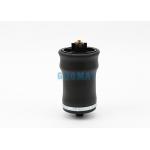 W02-358-7206 Cab Air Shock Absorber For Freightliner OEM 18-29919-000 for sale