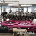 Fully Automatic Plastic Beverage Filling Machine Glass Bottled Soft Drink Dual Capping