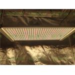 Horticulture Lighting 240Watts Quantum Board Led Grow Light for sale
