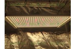 China Horticulture Lighting 240Watts Quantum Board Led Grow Light supplier