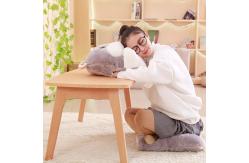 China Cute Plush Seat Cushions Hamster Shape Cotton Material With Zipper 45 * 90CM supplier