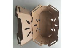 China Recyclable 350gsm Kraft Paper Fruit Tray With PET Lid supplier