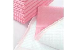China Breathable Quick Dry Thick Cat Dog Care Pet Pee Pad supplier