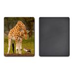 UV Offset Printing Lenticular 3D Fridge Magnets For Gift , Printed Fridge Magnets