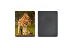 China UV Offset Printing Lenticular 3D Fridge Magnets For Gift , Printed Fridge Magnets supplier