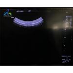 GE C1-6-D Ultrasound Probe Repair Strain Relief And Connector Cable Replacement for sale