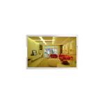 PV055AHQ-L80 LCD Panel 5.5 inch Touch LCD Display for sale