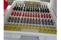 China Poultry Feeder Drinker manufacturer