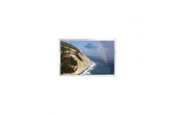 China LCD Screen 8.8 inch E088AWW2 R0 LCD Panel supplier