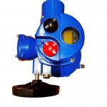 Explosion Proof Electric Valve Actuator 200Nm Small Electric Actuators Custom for sale