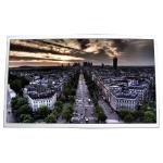 12.1 inch 1366*768 LT121AC61000 LCD Industry Display Screen for sale