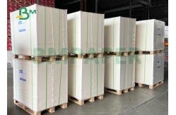 China High Bulk 250gr 300gr 325gr Coated FBB White Back For Food Packaging supplier
