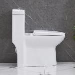 Siphonic One Piece Water Closet Toilet Dual Flush Sanitary Ware
