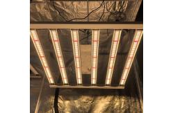 China Indoor 480W Osram 660nm 6Bars Horticulture LED Grow Light Full Spectrum supplier