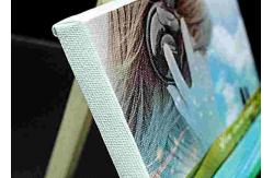 China Matte Sheepskin Effect Ecosolvent Inkjet Receptive Coating Used For Wall Fabrics supplier