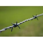 Farm Protection Anti Climb Double Strand Reverse Twist Barbed Wire for sale