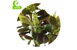 China Anti Fading Height 200cm Artificial Decorative Trees HAIHONG supplier