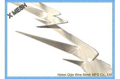 China Galvanized Metal Wire Mesh Anti - Creeped Wall Spike 2mm Thickness supplier