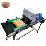 220v 50hz Egg Stamping Machine Inkjet Egg Coding Machine 50000 Eggs/H