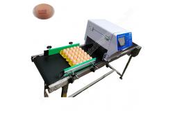 China 220v 50hz Egg Stamping Machine Inkjet Egg Coding Machine 50000 Eggs/H supplier
