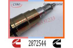 China Common Rail Diesel Fuel SCANIA Injector 2872544 2872289 2031835 supplier