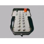 20 Way Explosion-Proof Remote Control