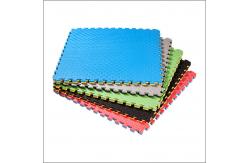 China Water Resistant Martial Arts Puzzle For Children Sponge Tesla Floor Park supplier