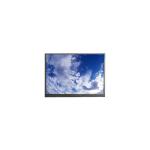 6.5 inch Original F066A10-6T1 LCD Screen Display for sale