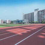 Multi Purpose 9mm Outdoor Sports Surfaces EPDM Granules + PU Binder for sale